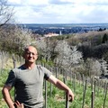 Gyuszi, 49 éves társkereső 4. fotója (Kőszeg, 3966041)