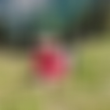 Andi, 53 éves társkereső 4. fotója (Lenti, 4702141)