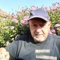 Sándor, 75 éves társkereső profilképe (Tiszafüred, 3705841)