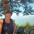 Erika, 62 éves társkereső 4. fotója (Bácsalmás, 4625342)