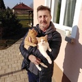 Zoltán, 60 éves társkereső profilképe (Rábahidvég, 4456943)