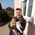 Zoltán, 60 éves társkereső 2. fotója (Rábahidvég, 4456943)