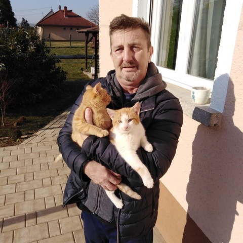 Zoltán, 60 éves társkereső profilképe (Rábahidvég, 4456943)