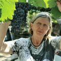 Mária, 73 éves társkereső profilképe (Gyál, 4209343)