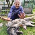 Péter, 69 éves társkereső 3. fotója (Pusztaszabolcs, 4649744)