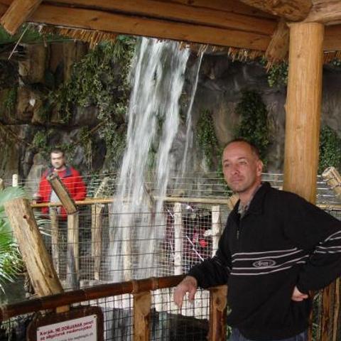 Zsolt, 56 éves társkereső profilképe (Békéscsaba, 2016245)