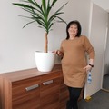 Erzsébet, 70 éves társkereső 2. fotója (Veszprém, 2625246)