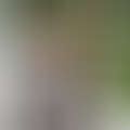 Kriszta, 50 éves társkereső profilképe (Szentes, 3797746)