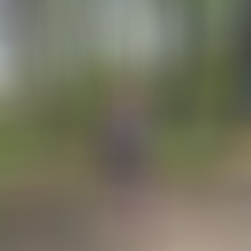 Ilona, 63 éves társkereső 3. fotója (Tatabánya, 4369746)