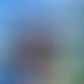 Gergő, 36 éves társkereső 2. fotója (Szigetszentmiklós, 4366147)