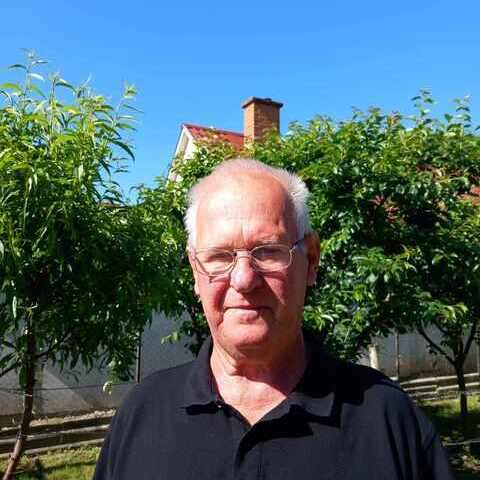 Tibor, 77 éves társkereső profilképe (őcsény, 4575447)
