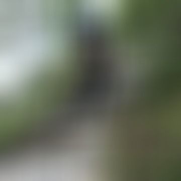 Norbert, 46 éves társkereső 5. fotója (Békéscsaba, 4376050)