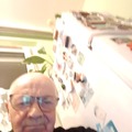 Gyula, 76 éves társkereső 2. fotója (Győr, 4345051)