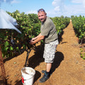 Karl, 62 éves társkereső 3. fotója (Sopron, 3769451)