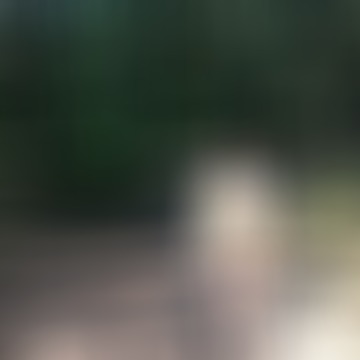 Erika, 57 éves társkereső 4. fotója (Sopron, 4470351)