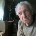 Gyula, 80 éves társkereső 4. fotója (Tatabánya, 4453251)