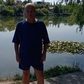 Zoli, 61 éves társkereső 2. fotója (Budapest, XXI., 4166052)
