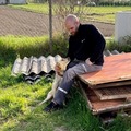Krisztián, 33 éves társkereső profilképe (Győr, 4725152)