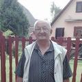 József, 72 éves társkereső 4. fotója (Szigethalom, 3065153)