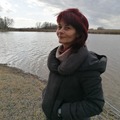 Marcsi, 53 éves társkereső 2. fotója (Pécs, 4352553)