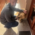 Péter, 38 éves társkereső profilképe (Ráckeve, 3529756)