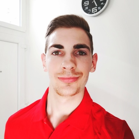 Raul, 28 éves társkereső profilképe (Budapest, VII., 4391958)
