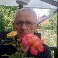 Pál, 76 éves társkereső 5. fotója (Szigethalom, 4417458)