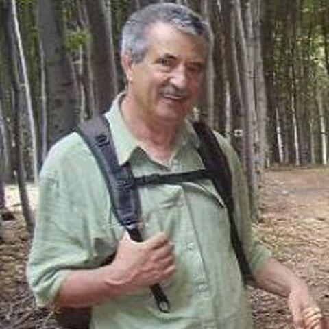 janos, 71 éves társkereső profilképe (Szigetcsép, 2008258)