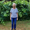 Erzsi, 74 éves társkereső 5. fotója (Szigethalom, 4054358)