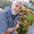 János, 70 éves társkereső profilképe (Zánka, 4529960)