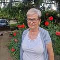 Klári, 69 éves társkereső 5. fotója (Biharkeresztes, 4375461)