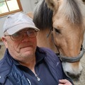 Norbert, 55 éves társkereső profilképe (Sárisáp, 3569862)