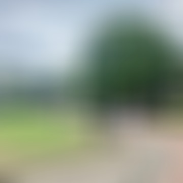 Feri, 68 éves társkereső 3. fotója (Göd, 4550862)