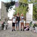 Katalin, 71 éves társkereső 6. fotója (Nyíregyháza, 3380563)
