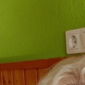 Andrea, 47 éves társkereső profilképe (Szászvár, 3910965)