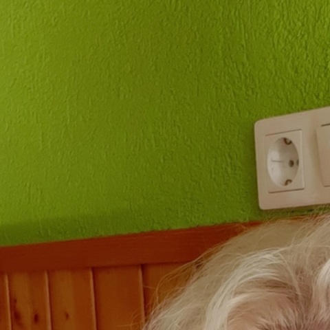 Andrea, 47 éves társkereső profilképe (Szászvár, 3910965)