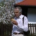 Gyula, 77 éves társkereső profilképe (Markaz, 3813466)