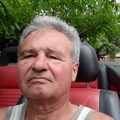 Gábor, 70 éves társkereső 5. fotója (Miskolc, 4418267)