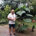 István, 65 éves társkereső profilképe (Veszprém, 4445267)