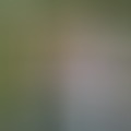 ATTILA, 48 éves társkereső 2. fotója (Székesfehérvár, 3903968)