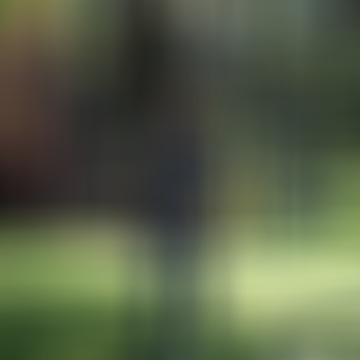István, 52 éves társkereső 9. fotója (Gyál, 3795668)