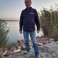 Miklós, 67 éves társkereső 4. fotója (Szentendre, 4527368)