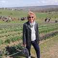 Andrea, 72 éves társkereső profilképe (Érd, 4400070)