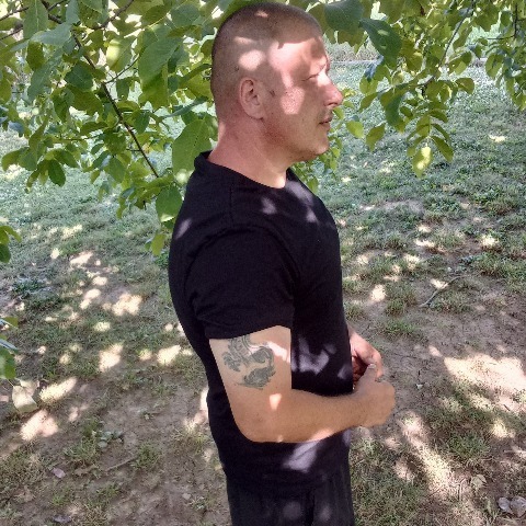 Ferenc, 39 éves társkereső profilképe (Vajszló, 4527170)