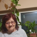 Ilona, 78 éves társkereső 4. fotója (Szekszárd, 4267871)