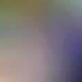 Tibor, 69 éves társkereső 2. fotója (Vác, 4631372)