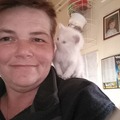 Ildikó, 46 éves társkereső 4. fotója (Jászkisér, 4205273)