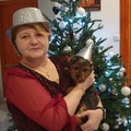 Katalin, 52 éves társkereső 2. fotója (Dunaújváros, 4160075)