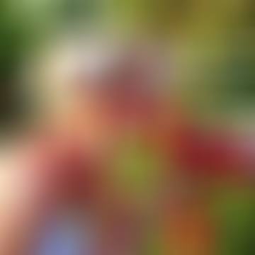 Erika, 52 éves társkereső 7. fotója (Nyíregyháza, 4270576)