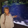 Zsuzsa, 70 éves társkereső 4. fotója (Marcali, 3540377)